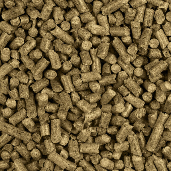 SPEED POWER BRIGGS - Premium-Futter für aktive Pferde